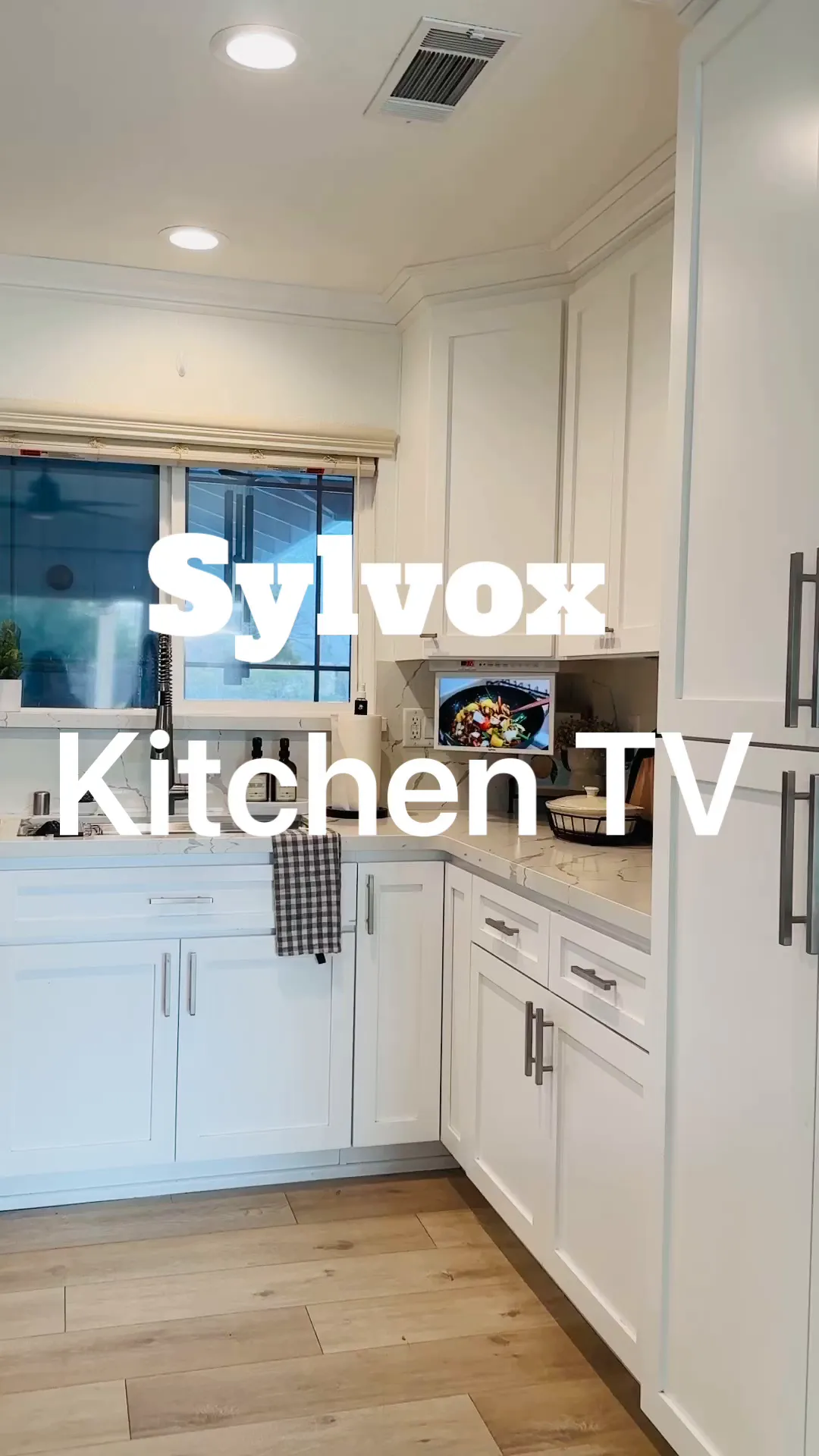 SYLVOX 15.6 SYLVOX 15.6